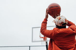 LeyuSports-篮球运动员专项技术动作规范化培训体系设计，篮球专项训练内容