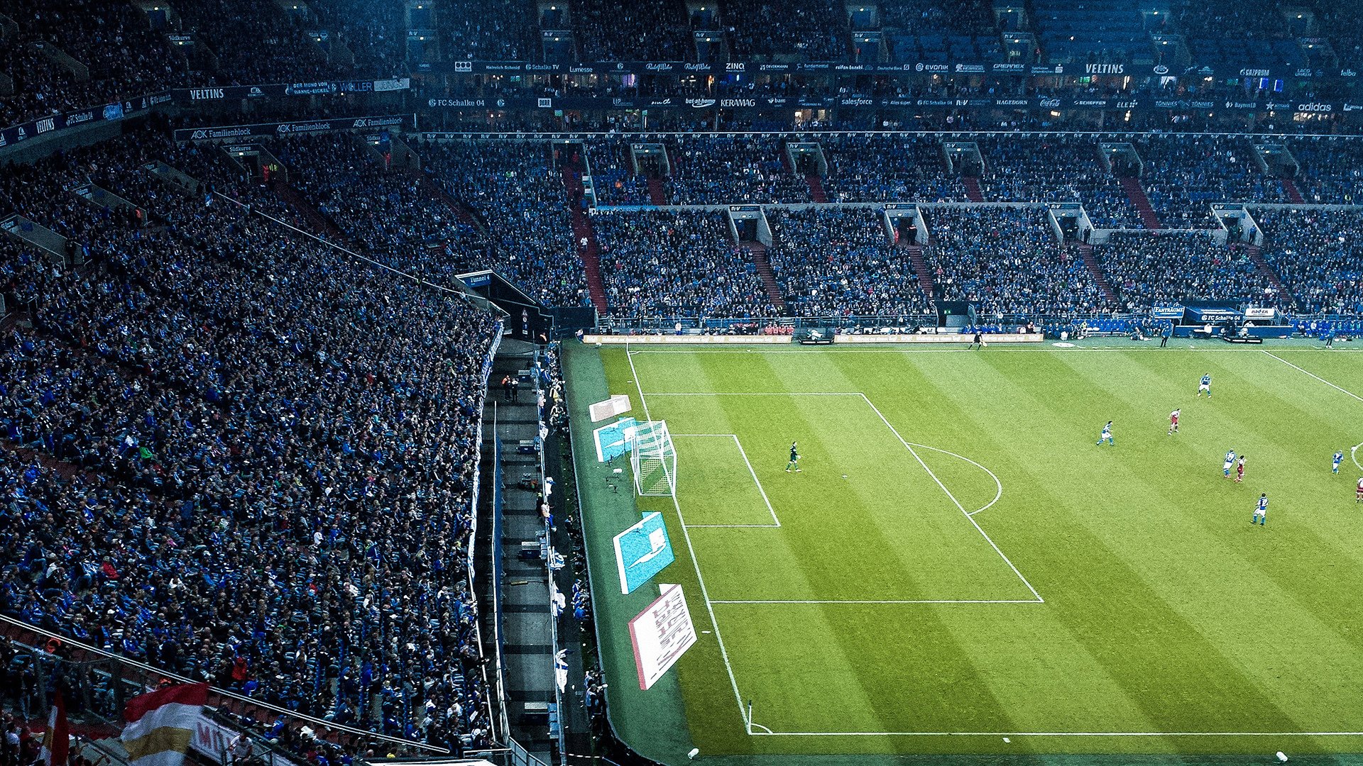 乐鱼体育App下载-项目启发街道清洁运动，成为阿尔及利亚最大环境行动，阿尔及利亚务工