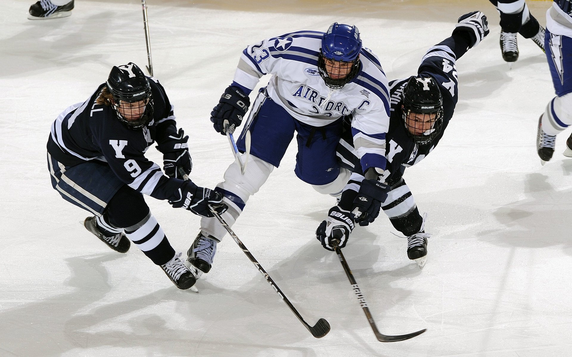 公牛管理层接受采访回应战绩质疑,公牛集团视频